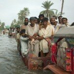 Menschen in der Provinz Punjab retten sich auf einen Wagen - ihre Ernten können sie nach den Überflutungen vergessen