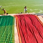 Sari