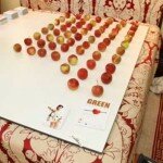 GREENshowroom: In Zimmern und Fluren des Hotel Adlons werden exklusive ökologische Designs gezeigt