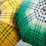Burberry Regenschirm