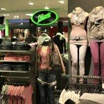 Chicorée Store