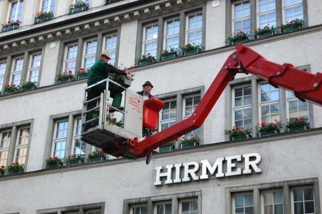 Hirmer Geranien Hirmer Geranien