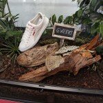 Biologischer Abbauprozess des PUMA InCycle Basket