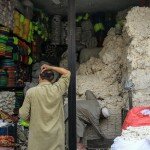 Pakistan_Baumwolle