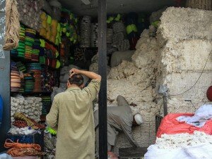 Pakistan_Baumwolle