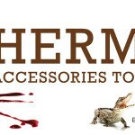 PETA bleibt trotz Beteuerungen von Hermès bei den Boykott-Aufrufen