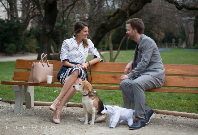 Bitte genau hinschauen: Einer der Hund ist ein Eterna Hund Bitte genau hinschauen: Einer der Hund ist ein Eterna Hund