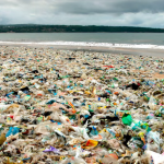 In wenigen Jahrzehnten wird im Meer mehr Plastik als Fisch schwimmen - wenn wir nichts unternehmen