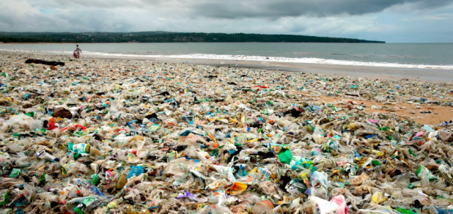 In wenigen Jahrzehnten wird im Meer mehr Plastik als Fisch schwimmen - wenn wir nichts unternehmen